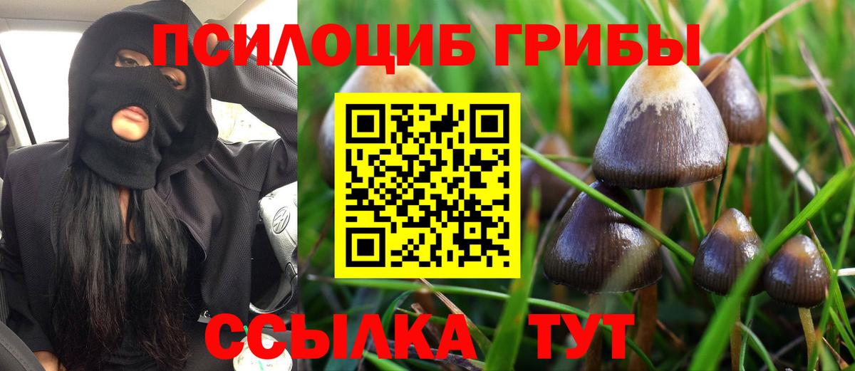 Псилоцибиновые грибы Psilocybe  Вход с VPN  Соликамск  Галлюциногенные грибы Psilocybe 