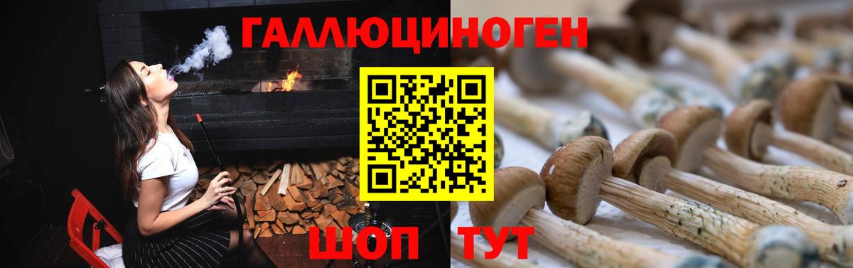 Галлюциногенные грибы Psilocybine cubensis Соликамск